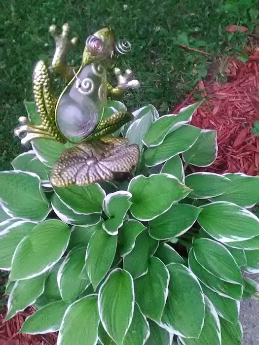 Buffalo Manor Mobile Home Park Picture 5