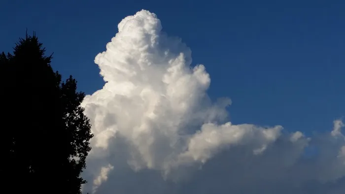 Buffalo Manor Mobile Home Park Picture 9