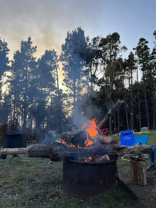 Warren Group Camp Area Picture 1
