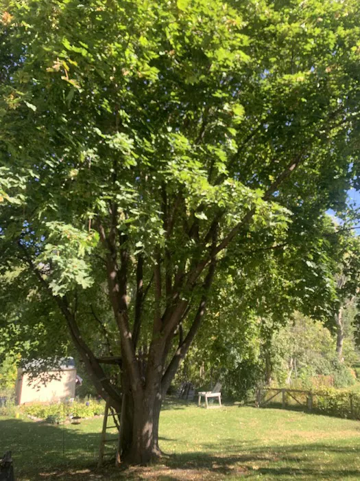 Montrose Mobile Manor Picture 1