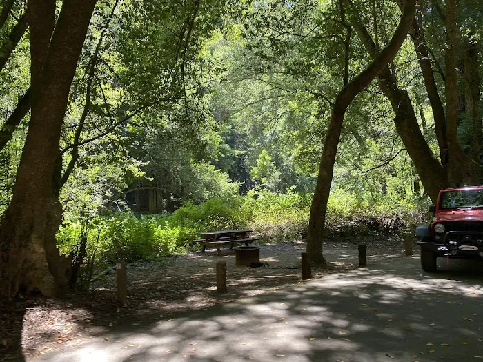 Paul Dimmick Campground Picture 2