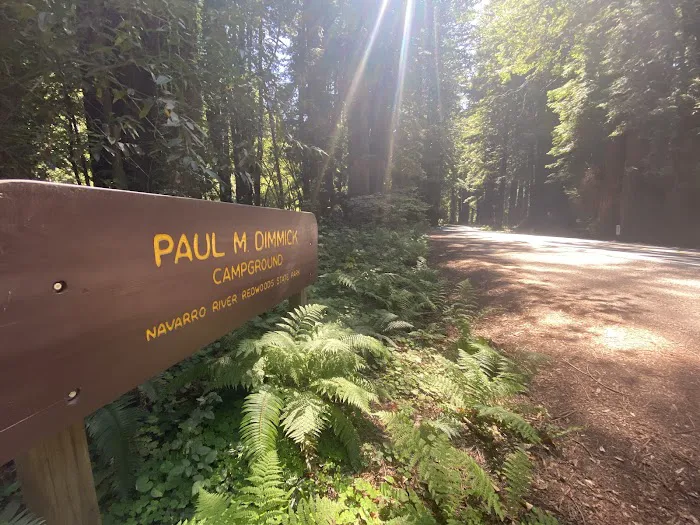 Paul Dimmick Campground Picture 7