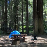 Dimmick Memorial Grove State Park ico