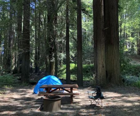 Dimmick Memorial Grove State Park