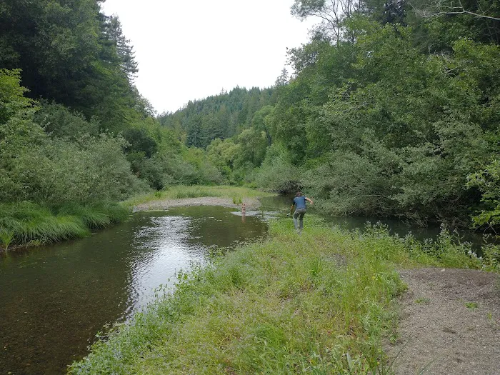 Dimmick Memorial Grove State Park Picture 3