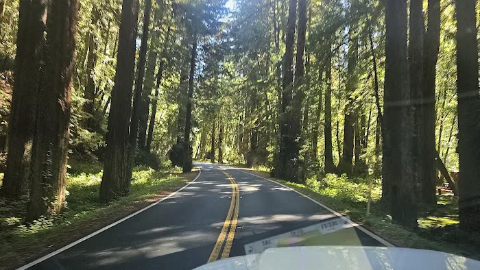 Dimmick Memorial Grove State Park Picture 4