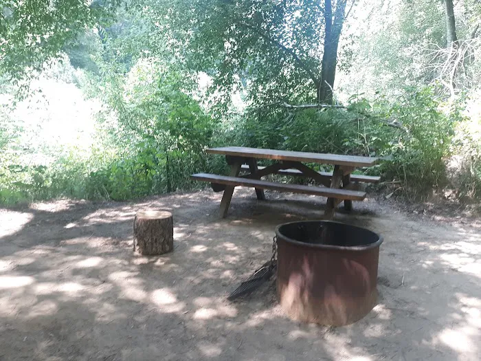Dimmick Memorial Grove State Park Picture 5