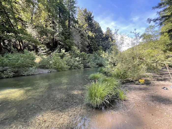 Dimmick Memorial Grove State Park Picture 10