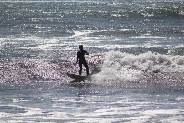 Manchester Beach / Mendocino Coast KOA Journey Picture 7