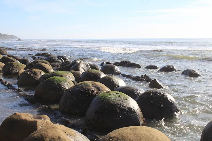 Manchester Beach / Mendocino Coast KOA Journey Picture 8