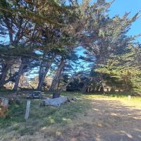 Manchester State Campground ico