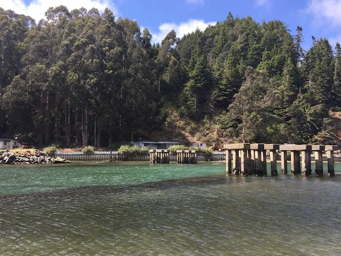 Schooners Landing, Selkie Cove Picture 4