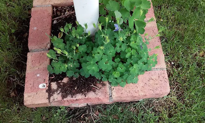 Traulich Estates Picture 9