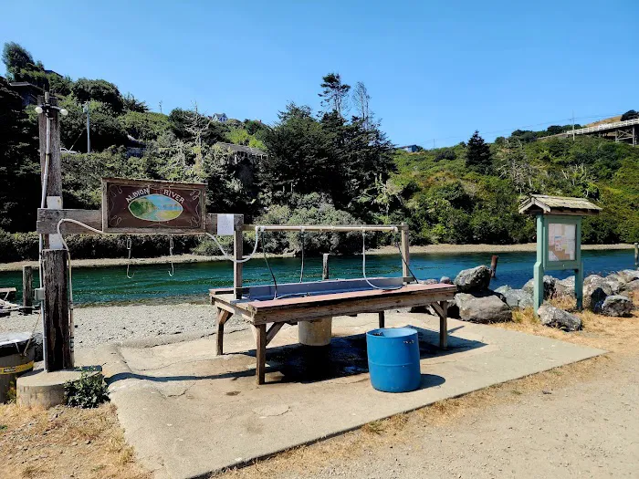 Albion River Campground Picture 2