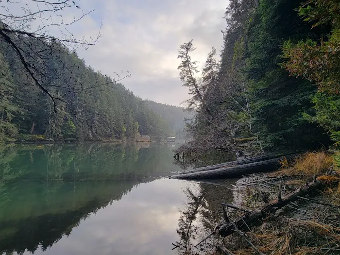 Albion River Campground Picture 10