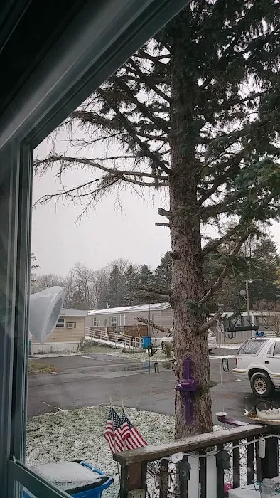 Pine Terrace Mobile Home Community Picture 5