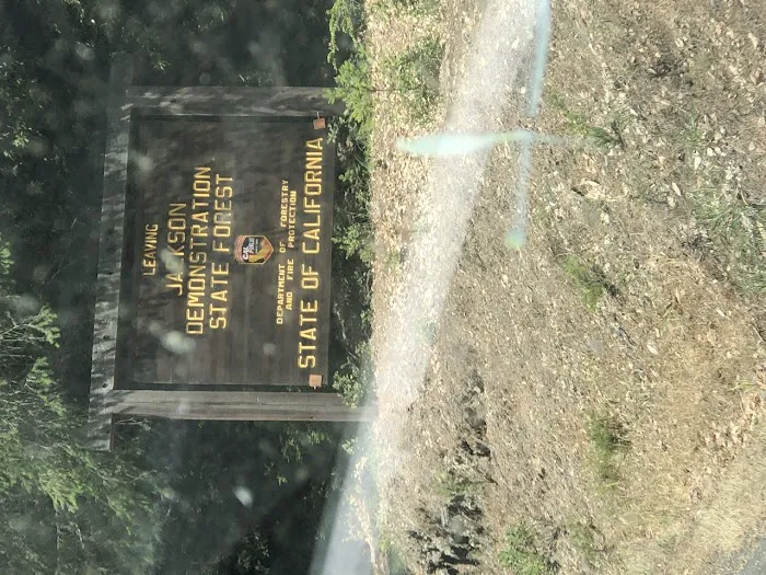 Horse Camp Picture 5