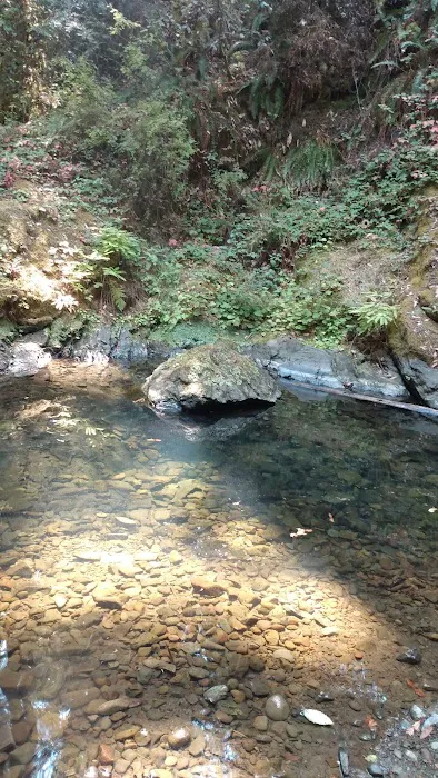 Big River Campground Picture 3