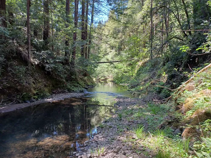Big River Campground Picture 1