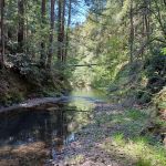 Big River Campground
