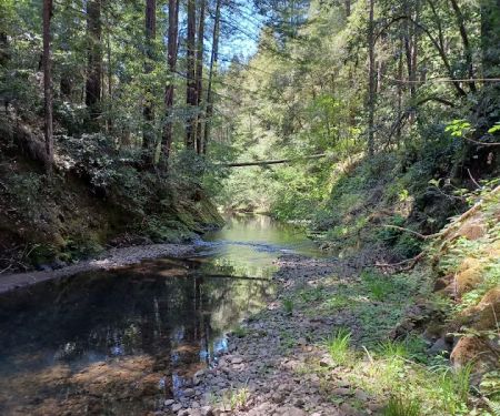 Big River Campground