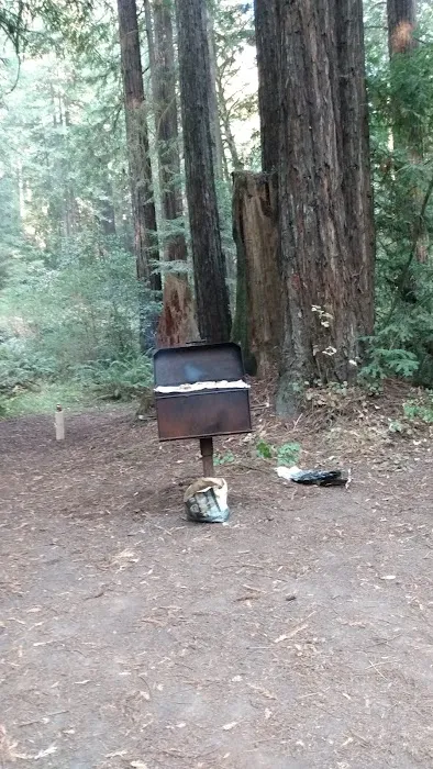 Big River Campground Picture 7