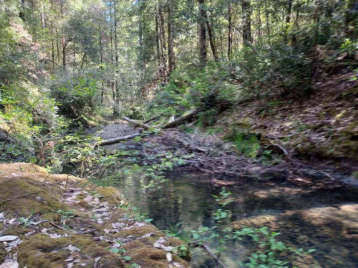 Big River Campground Picture 4