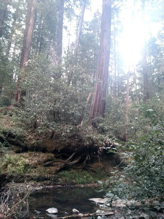 Big River Campground Picture 5