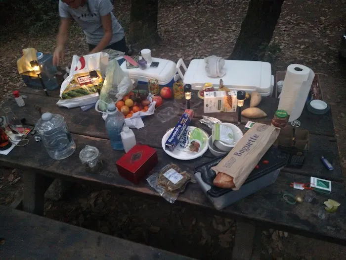 Big River Campground Picture 9