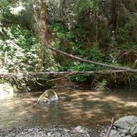 Dunlap Campground ico