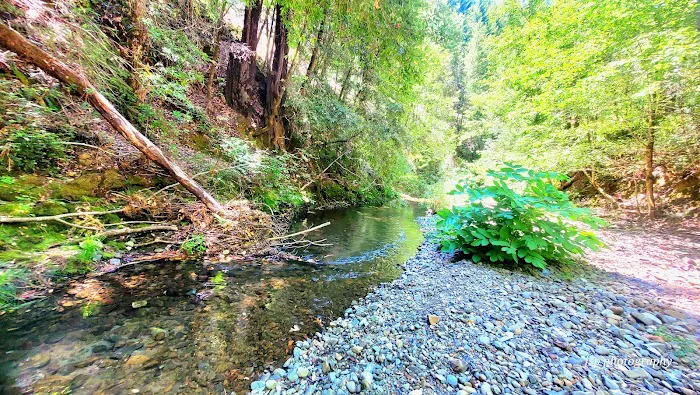 Dunlap Campground Picture 3