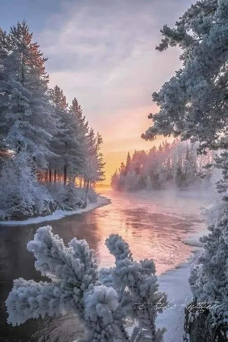 Edgewood Mobile Home Park Picture 4