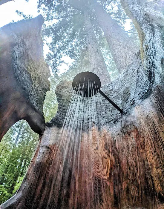 Heartwood Mendocino Picture 4