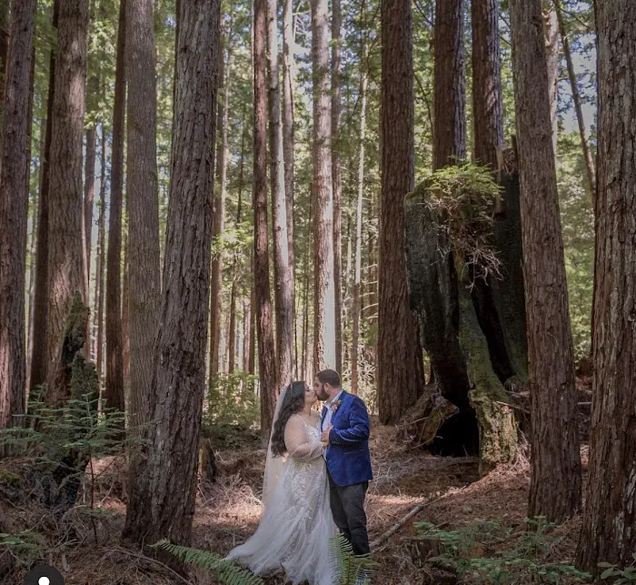 Heartwood Mendocino Picture 8