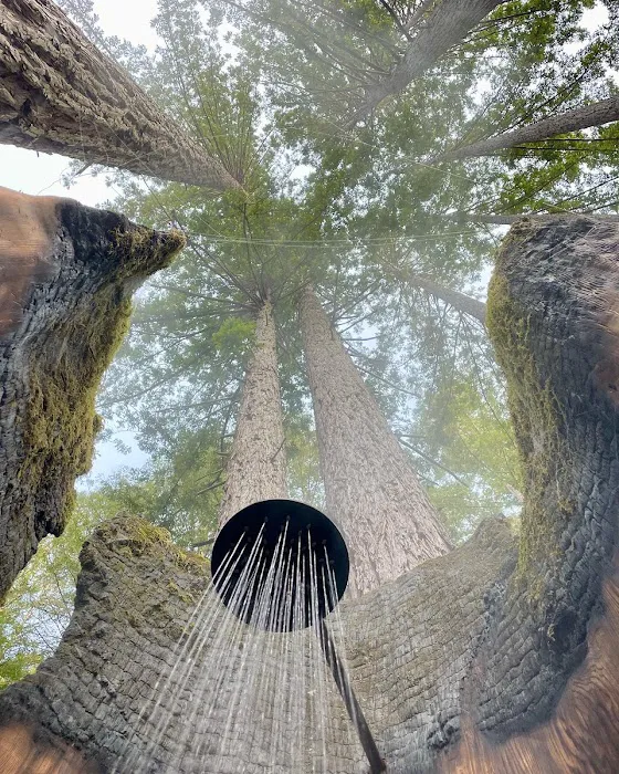 Heartwood Mendocino Picture 6