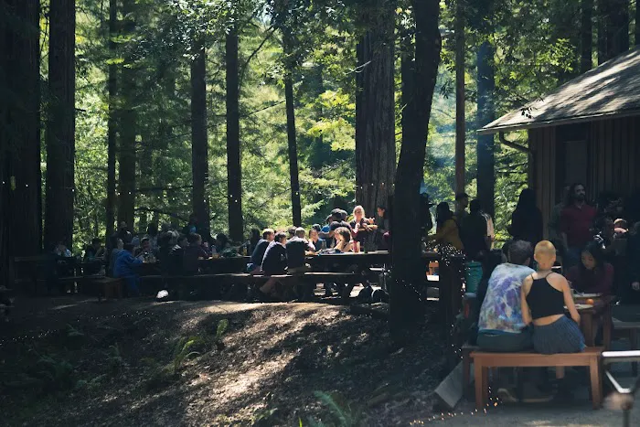 Mendocino Woodlands Campground Picture 2