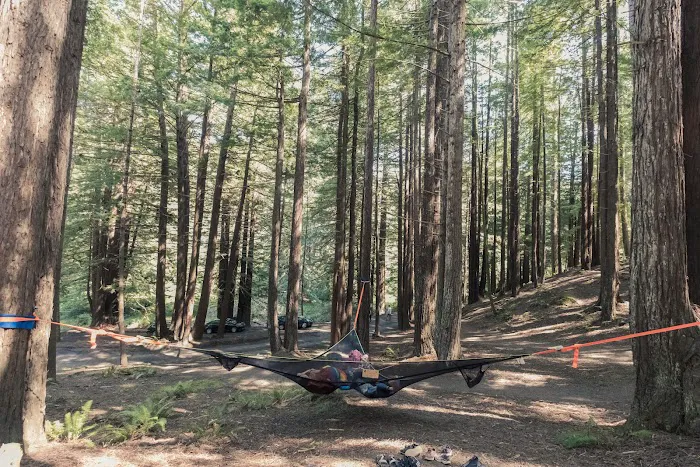 Mendocino Woodlands Campground Picture 9
