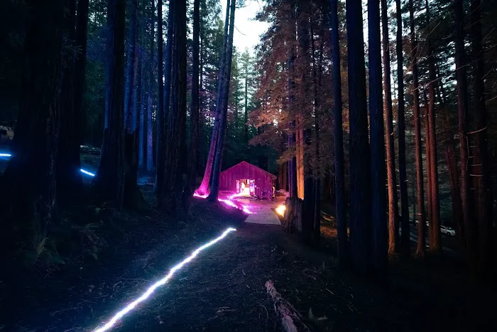 Mendocino Woodlands Campground Picture 5