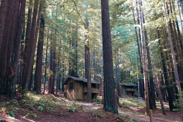 Mendocino Woodlands Campground Picture 10