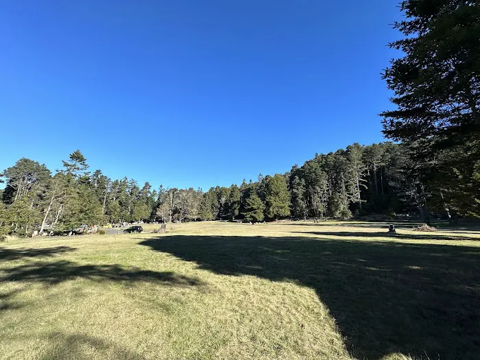 Van Damme State Park Campground Picture 3