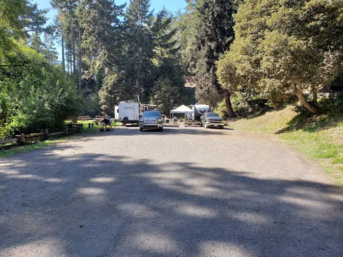 Van Damme State Park Campground Picture 4