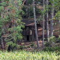 Mendocino Woodlands Camp Association ico