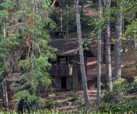 Mendocino Woodlands Camp Association