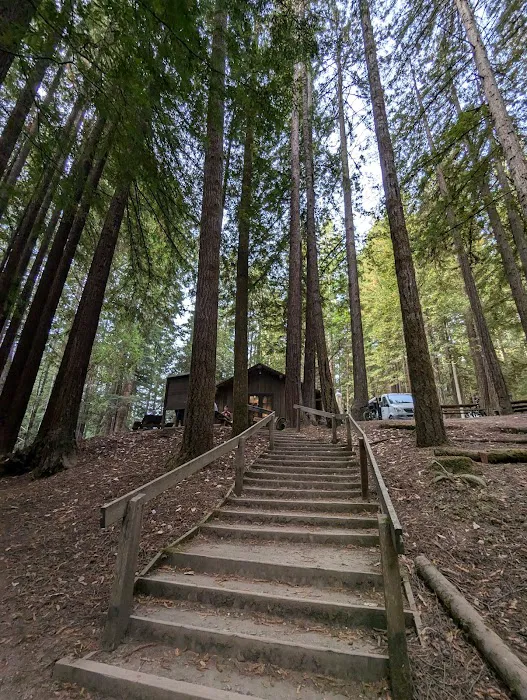 Mendocino Woodlands Camp Association Picture 5