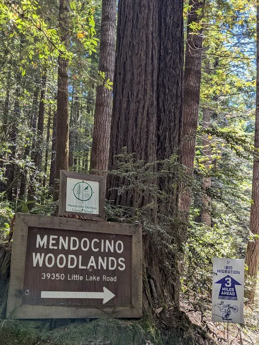Mendocino Woodlands Camp Association Picture 10
