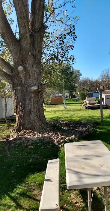 Anderson Mobile Home Park Picture 5