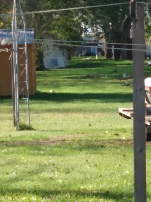 Anderson Mobile Home Park Picture 10