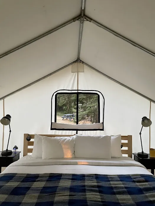 Mendocino Grove Picture 1