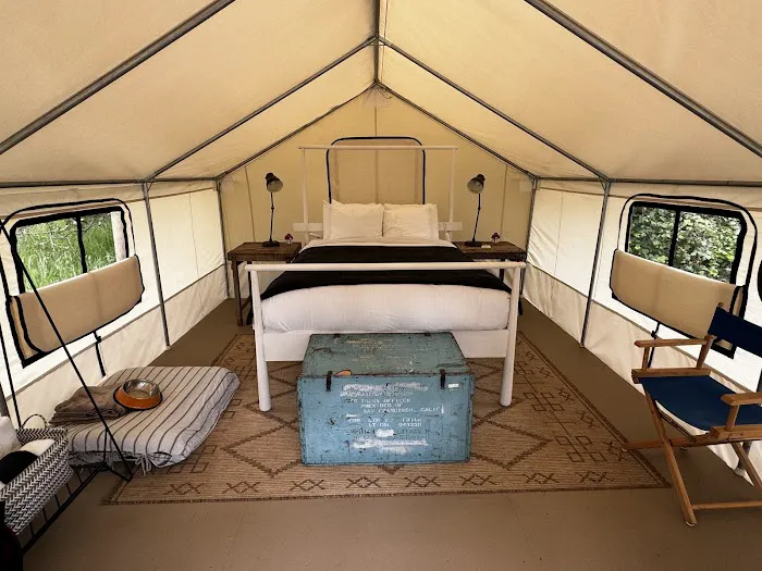 Mendocino Grove Picture 8