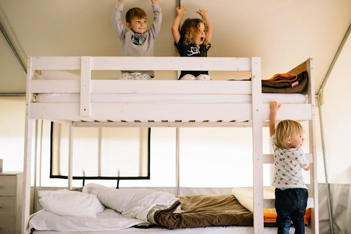 Mendocino Grove Picture 6